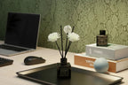 Premium Aroma Oil Diffuser