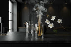 Glass Oil Diffuser with Diffuser Sticks