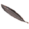 Leaf Shaped Incense Holder